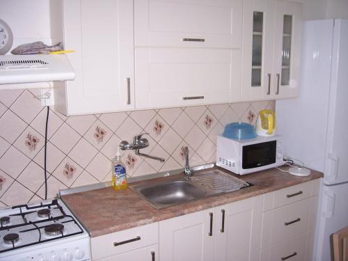 a kitchen with a sink and a microwave at Penzion Na Rozcestí in Bulhary