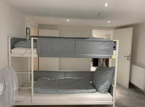 two bunk beds in a room with a fan at Greenhome Lörrach -Ihre Unterkunft im 3-Ländereck- in Lörrach