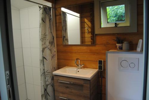 een badkamer met een wastafel en een spiegel bij Warnstee in Wichmond