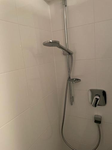 a shower with a shower head in a bathroom at Z.Bilić V&V in Jesteburg