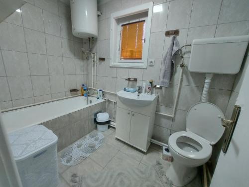a small bathroom with a toilet and a sink at Apartman Đurđevak ,Banja Koviljača in Banja Koviljača