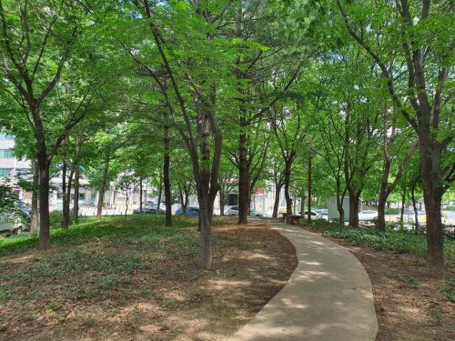 大邱的住宿－Dalseogu Resting Place，树木繁茂的公园中的步行道