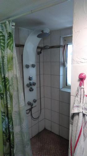 a bathroom with a shower with a shower curtain at Altes Bahnerhaus 