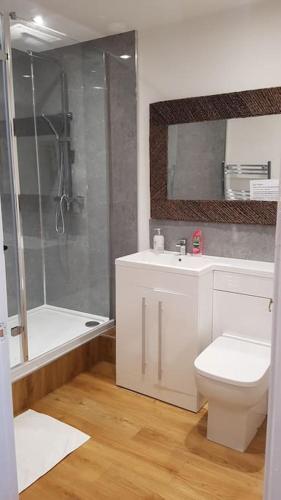 a bathroom with a toilet and a sink and a shower at Wastwater Cottage on The Big "W" Ranch in Nether Wasdale