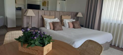 Gallery image of Hotel Pantanha Nature & Fitness in Caldas da Felgueira
