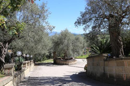 a walkway with trees and a stone wall at La Masseria PietraMarmo Caiazzo - App to con vista in Caiazzo