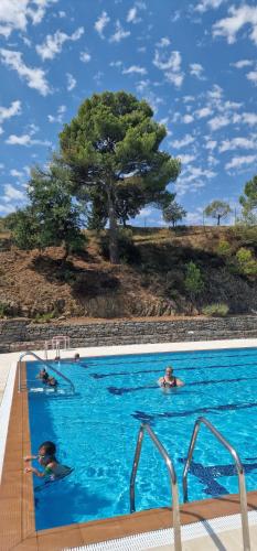 un grupo de personas nadando en una piscina en EL CAU DE CAL VIOLA, en Torroja