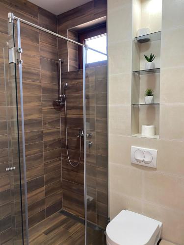 uma casa de banho com um WC e uma cabina de duche em vidro. em Apartmani Zlatiborio em Zlatibor
