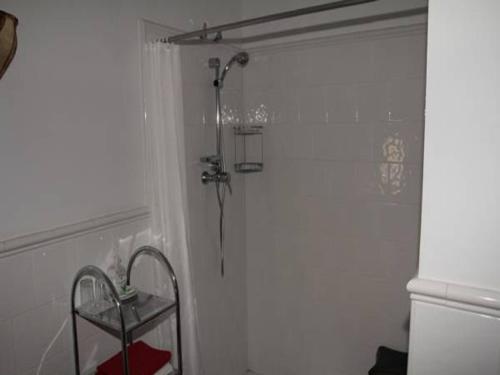 La salle de bains est pourvue d'une douche avec rideau de douche. dans l'établissement Casa Rural El Paraje de Berchules, à Bérchules