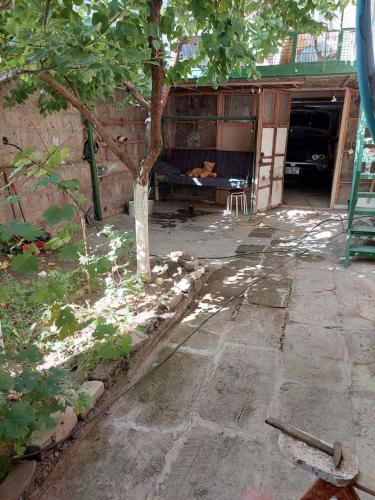a house with a tree in the middle of a yard at Mazmanyan 181 in Gyumri