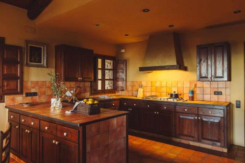 a kitchen with wooden cabinets and a counter top at La masovería de Mas Redortra in Sant Pere de Torelló