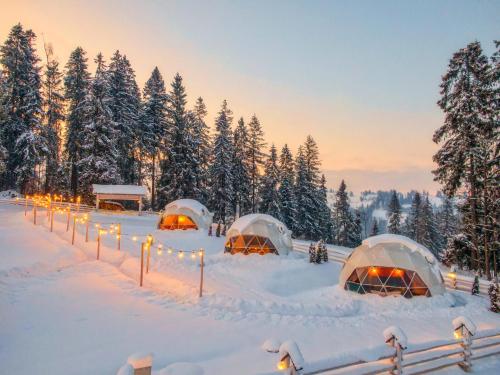 10 najlepszych luksusowych namiotów w Polsce | Booking.com