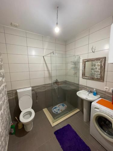 a bathroom with a toilet and a sink at Queen’s vintage house in Podgorica