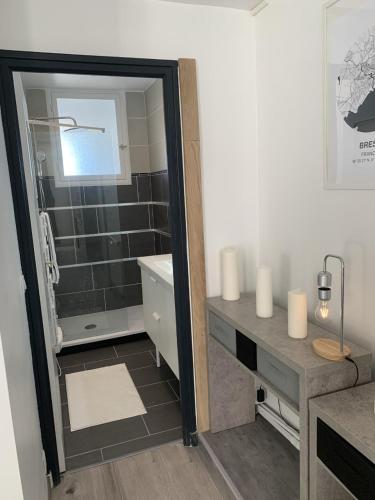 une salle de bain avec une douche, un lavabo et un miroir dans l'établissement Appartement 55m² Brest Recouvrance, à Brest
