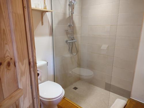 a bathroom with a toilet and a shower at Le Chalet jacuzzi et Détente 4 Étoiles in Bagnères-de-Bigorre