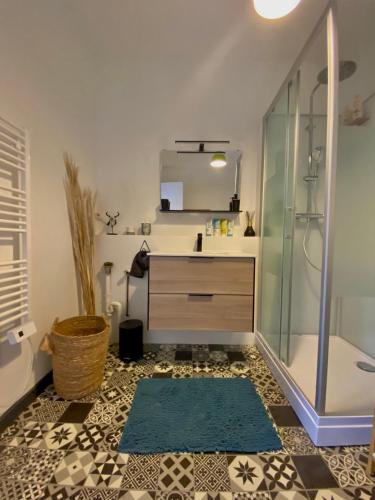 une salle de bain avec douche et lavabo dans l'établissement Le Cocon Briochin, grand appartement en plein centre de SaintBrieuc, à Saint-Brieuc
