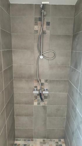 une douche avec pommeau de douche dans une salle de bain dans l'établissement La tanière du lac d Aiguebelette, à Lépin-le-Lac
