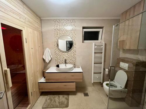 W łazience znajduje się umywalka, toaleta i lustro. w obiekcie Villa EMIR w Sarajewie