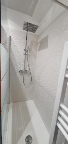 a white bathroom with a shower with a hose at Appartement d'Hippolyte - Vue musée Rimbaud in Charleville-Mézières
