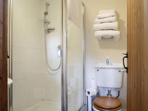 a bathroom with a shower and a toilet and towels at The Cow Shed in Llanfair-ar-y-bryn