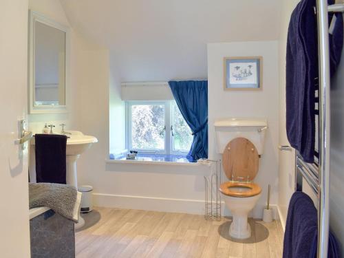 a bathroom with a toilet and a sink and a window at The Garden Suite in Oathlaw