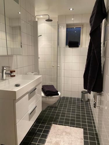 y baño con aseo, lavabo y ducha. en Annies House - Very nice 2 bedroom apt central area, en Strömstad