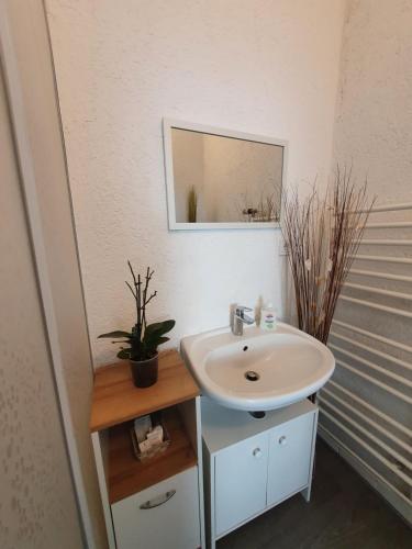a bathroom with a sink and a mirror at Ferienwohnung in Gersheim / bis 4 Personen in Gersheim