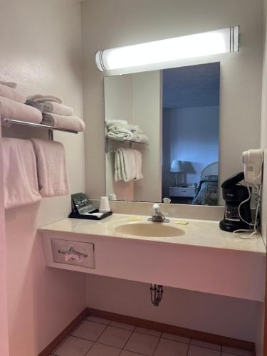 uma casa de banho com um lavatório e um espelho em Gray Wolf Lodge em Manistique