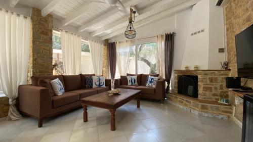 a living room with a couch and a fireplace at Villa eco Electra in Nikiti