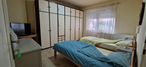 Habitación hospitalaria con 2 camas y TV en Guesthouse Stojanović en Negotin