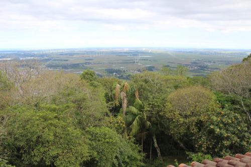 a view from the top of a hill with trees and a cactus at Pousada Laura e Emílio in Osório