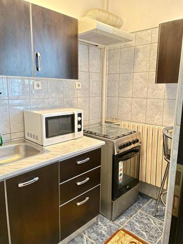 Køkken eller tekøkken på Luand Apartament