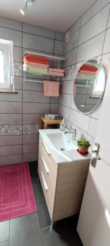 une salle de bain avec un lavabo et un miroir dans l'établissement Le gîte de Philippe, Calme et spacieux, à Eschbach-au-Val