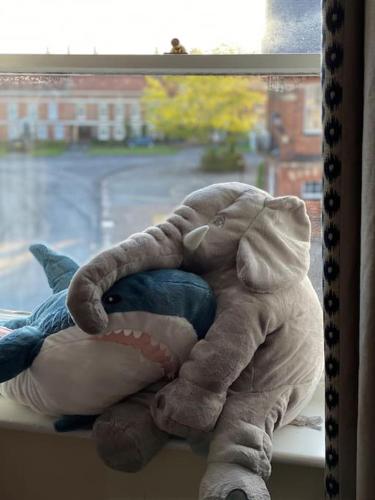 a stuffed animal is sitting in a window at Innkeeper's House in Easingwold