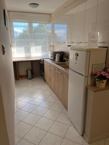 a kitchen with a white refrigerator and a sink at RelaxAp Zalakaros in Zalakaros