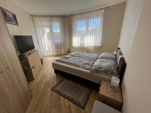 um quarto com uma cama e uma televisão de ecrã plano em RelaxAp Zalakaros em Zalakaros