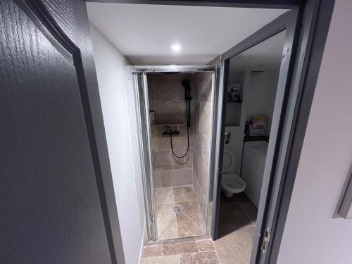 a walk in shower in a bathroom with a toilet at T3 calme et cosy, idéalement situé près du château et de la gare, dans un cadre paisible in Rambouillet