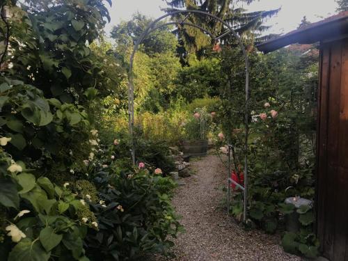 a garden with a pathway with flowers and plants at au jardin in Zuchwil