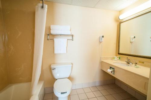 a bathroom with a toilet and a sink and a mirror at Country Inn & Suites by Radisson, Akron Cuyahoga Falls in Cuyahoga Falls