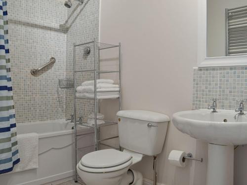 a bathroom with a toilet and a sink and a shower at Mill Force Cottage in Bowes