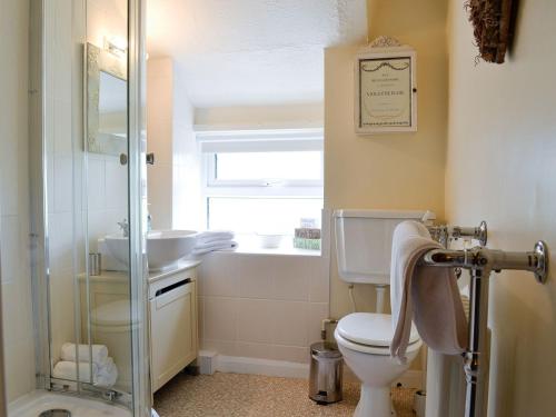 a bathroom with a toilet and a sink and a shower at The Bellringers Cottage in Llandegla