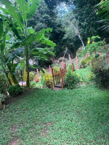 a garden with a wooden fence and green grass at Finca Peñitas in Boquerón de Capira