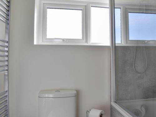 ein Bad mit einem WC, einem Fenster und einer Dusche in der Unterkunft Woodpeckers in Herstmonceux