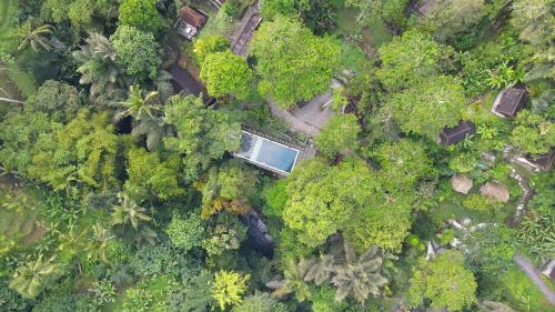 an overhead view of a forest with a house in it at Bali Jungle Resort in Tegalalang
