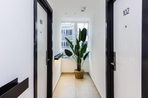a hallway with two doors and a potted plant at Z Hotel in Petaling Jaya