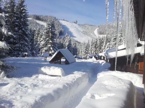 a snow covered yard with a house and a mountain at Chaty Jasná in Demanovska Dolina