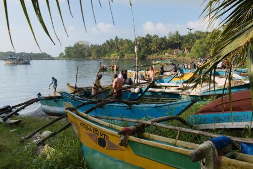 Landskap semula jadi dekat dengan hotel