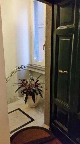 Diapason Colosseo Suite