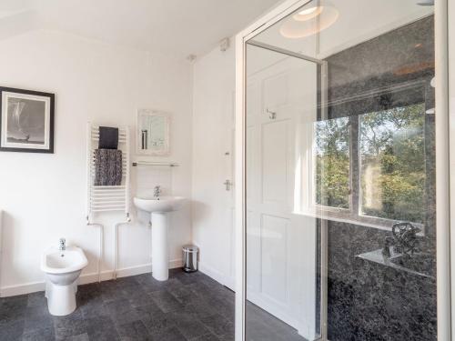 a bathroom with a shower and a toilet and a sink at The White House in Montrose