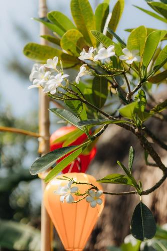 an orange cone shaped object hanging from a tree at Ngoc An Bang Villa in An Bang